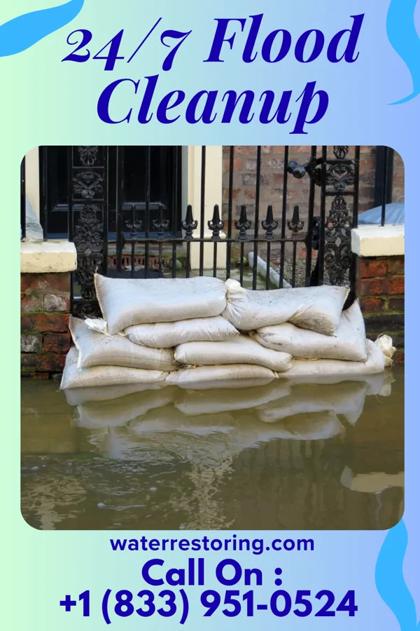 24/7 Flood Cleanup in Las Lomas, TX